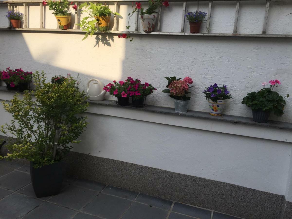 Auszeit Naehe Airport Apartment Rosrath